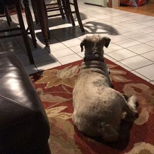 Meet your Posher, Mitchell